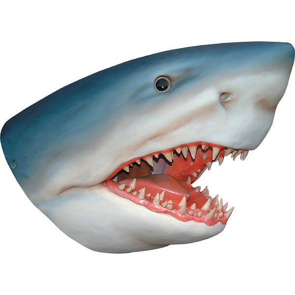 AFD Home  Great White Shark Wall Bust - New Star Living