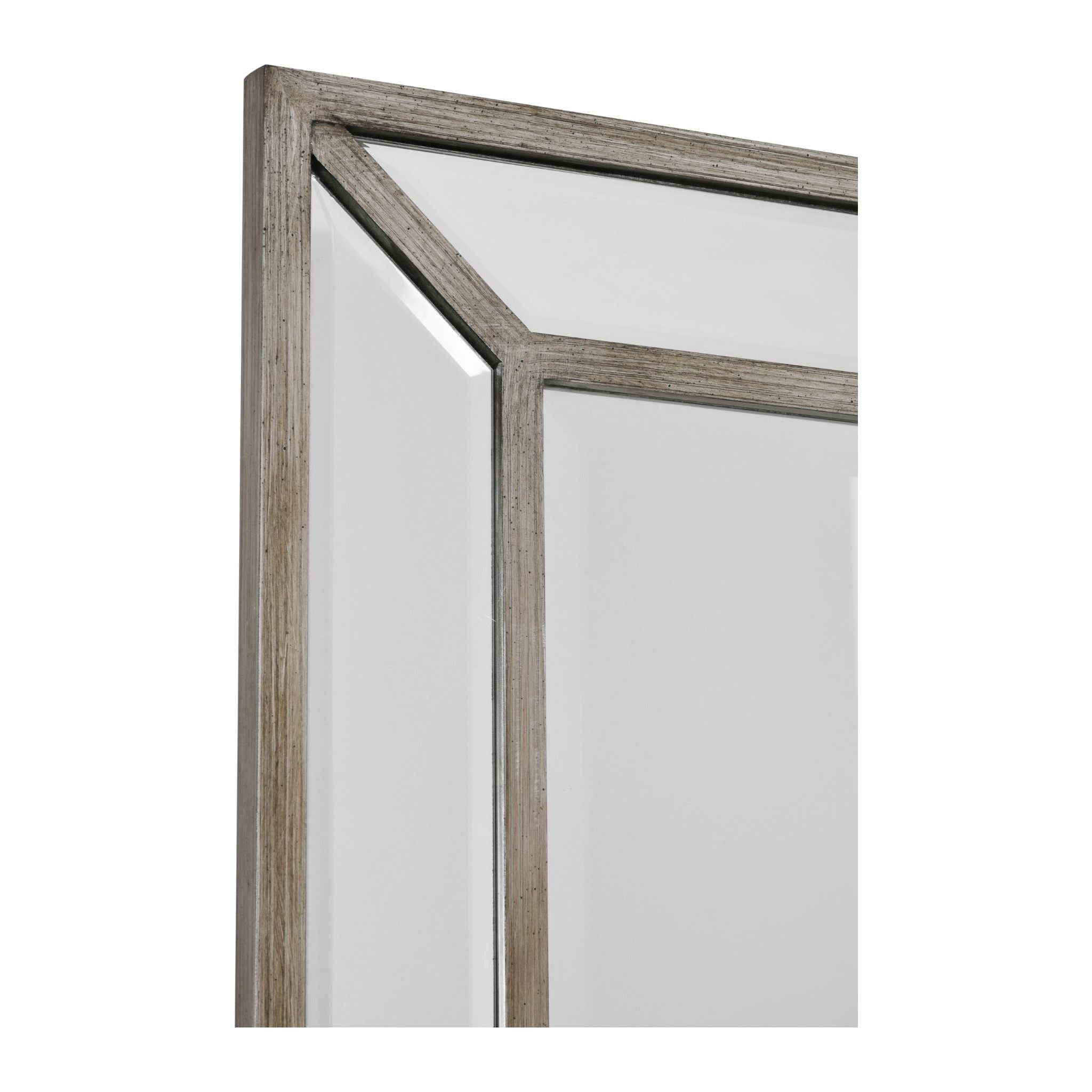AFD Home  Brushed Spectrum Mirror 45X81MC - New Star Living