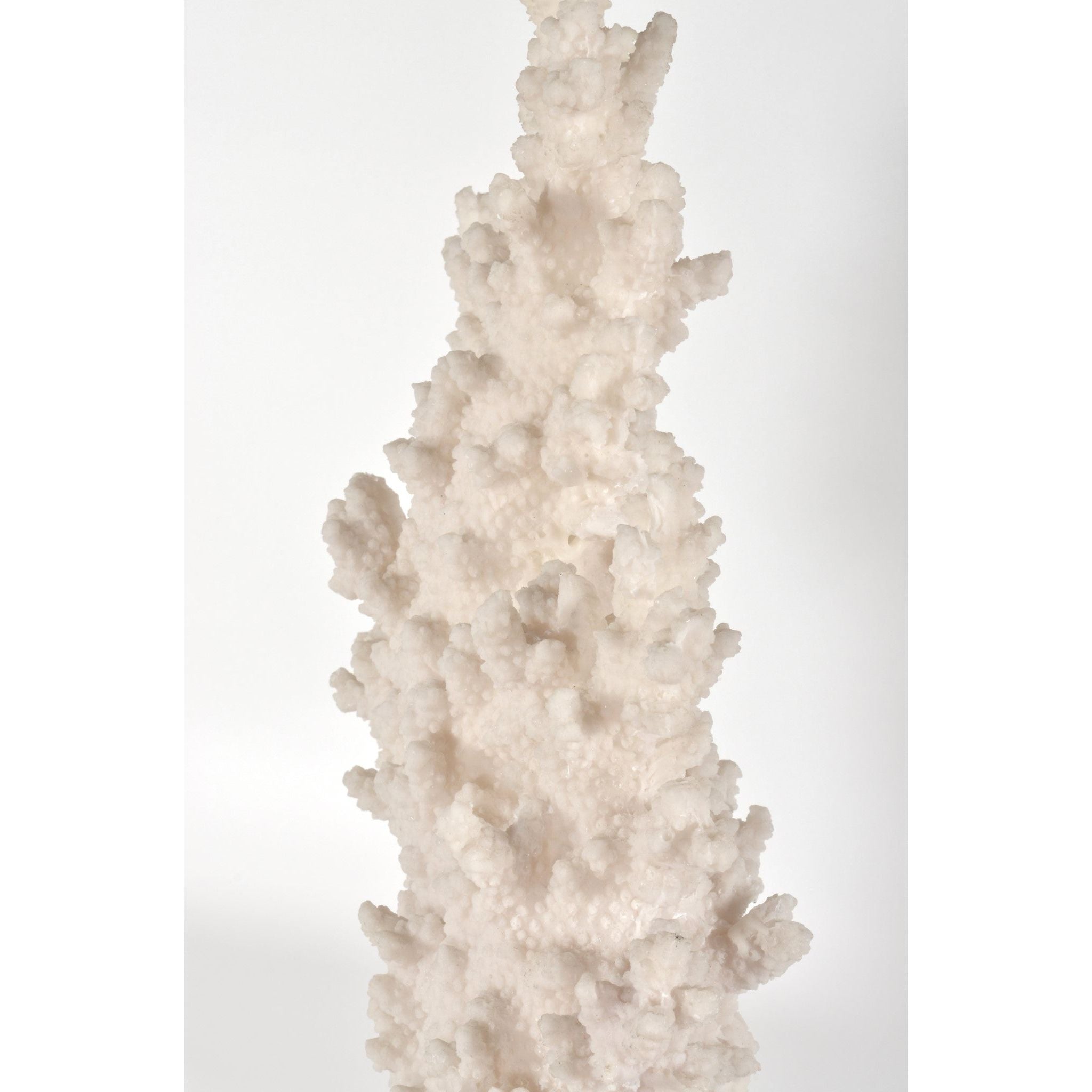 AFD Home  White Coral with Acrylic Base Tall - New Star Living