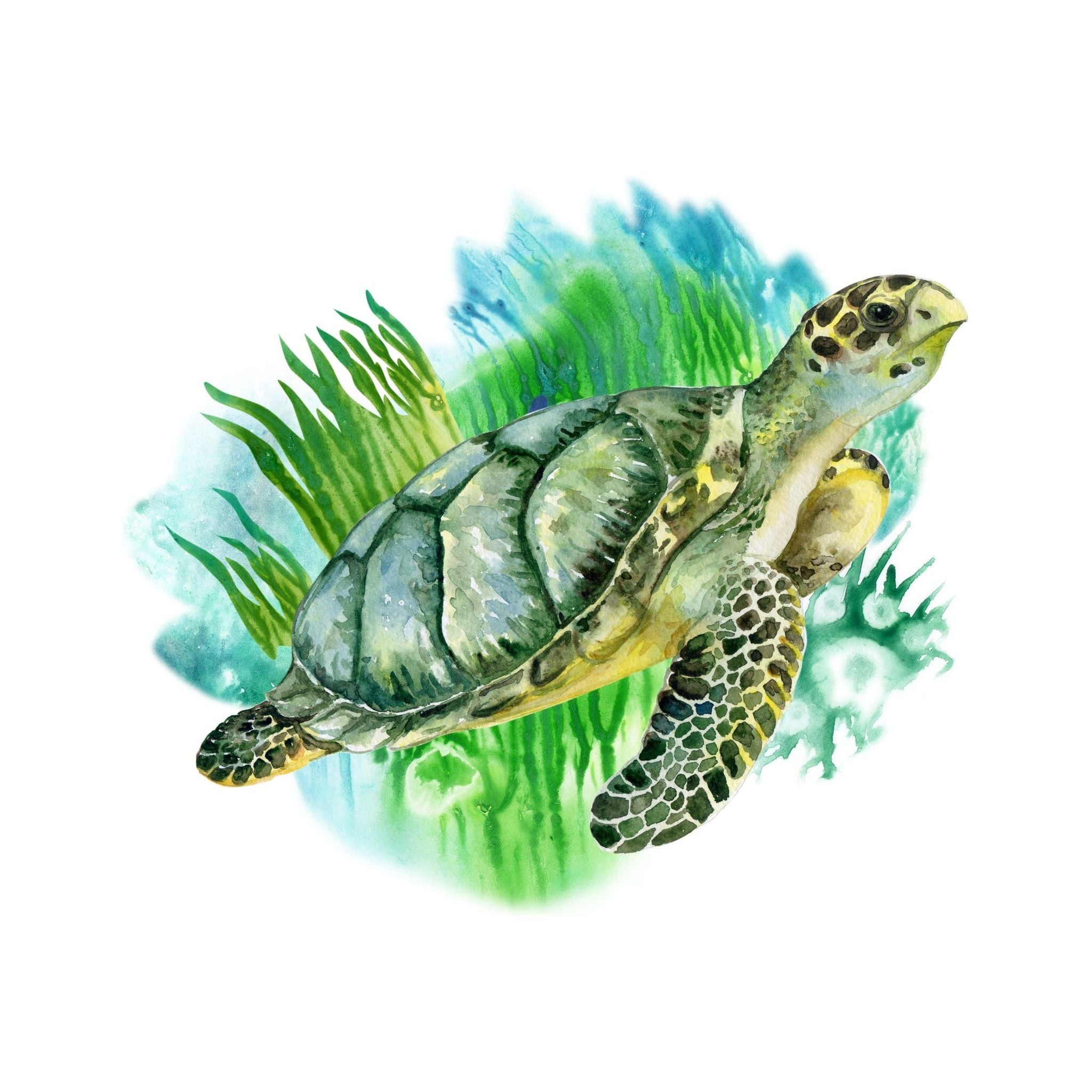 AFD Home  Turtle Watercolor - New Star Living