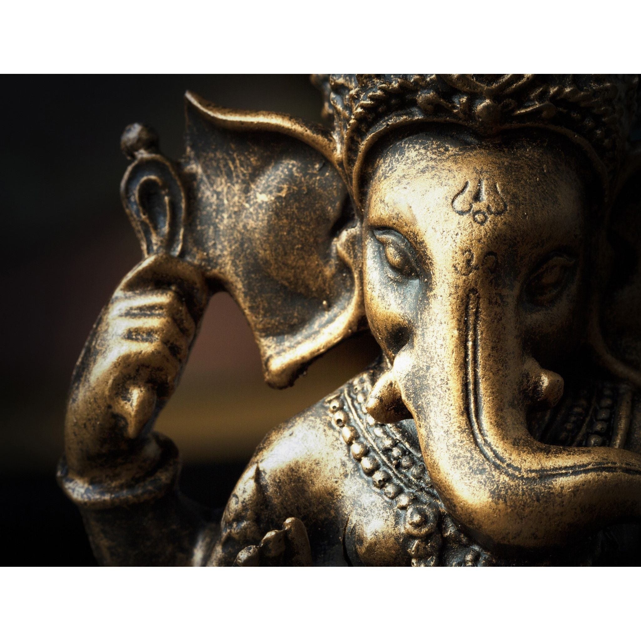 AFD Home  Bronze Ganesha Gallery Wrap - New Star Living