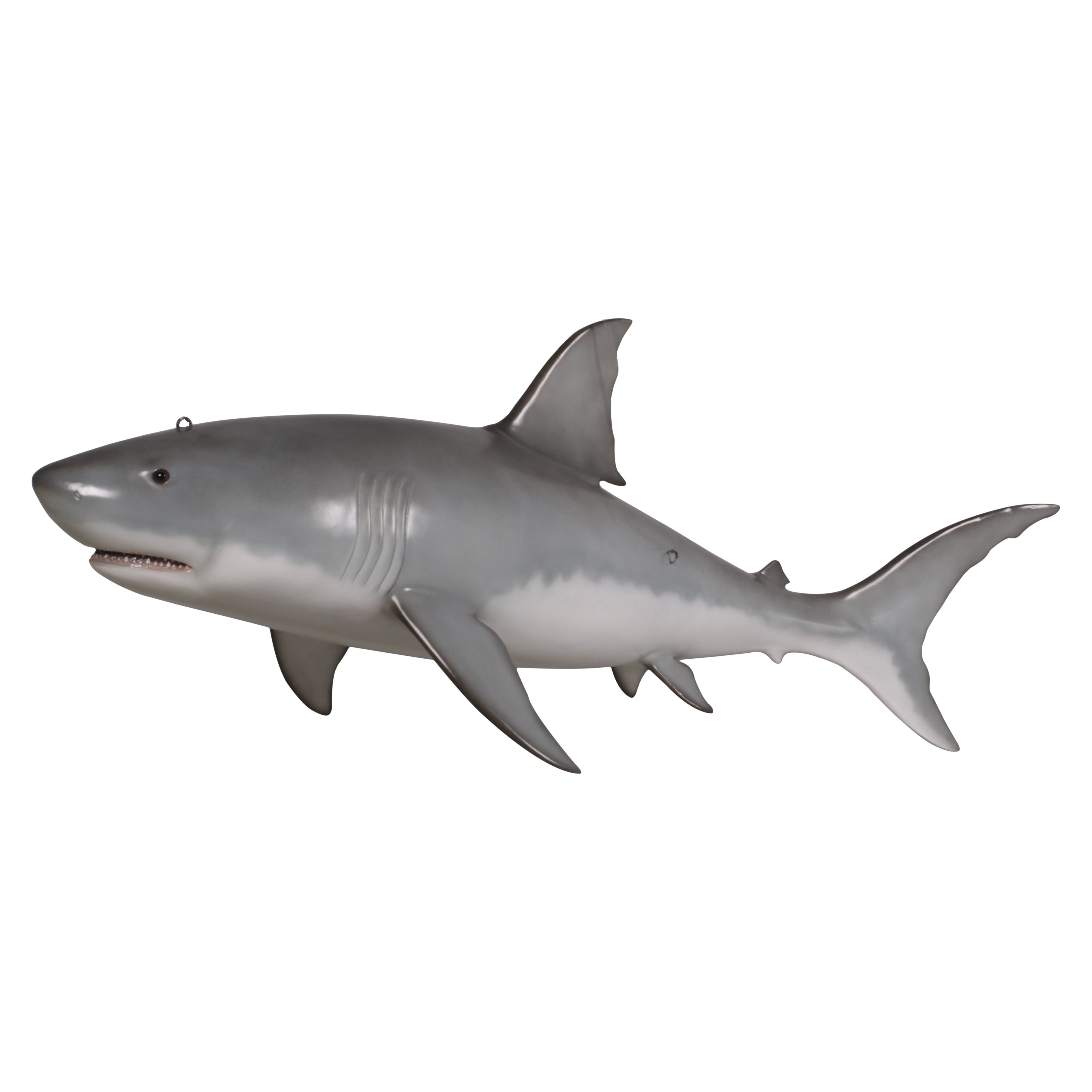 AFD Home  Great White Shark 6ft - New Star Living