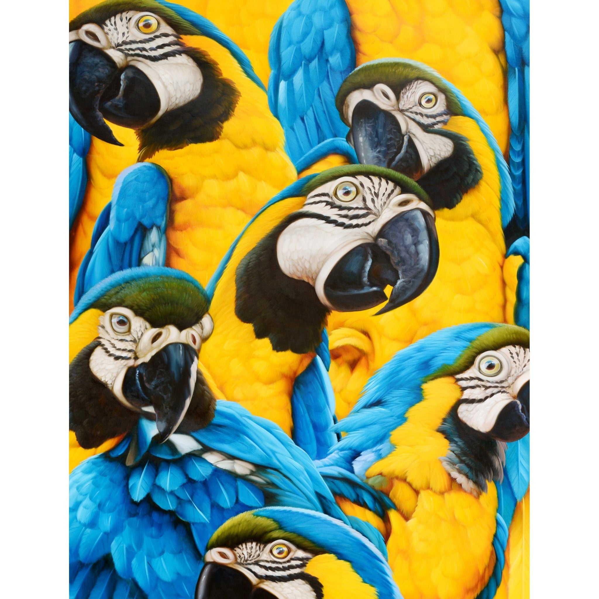AFD Home  Wild Parrots Gallery Wrap - New Star Living