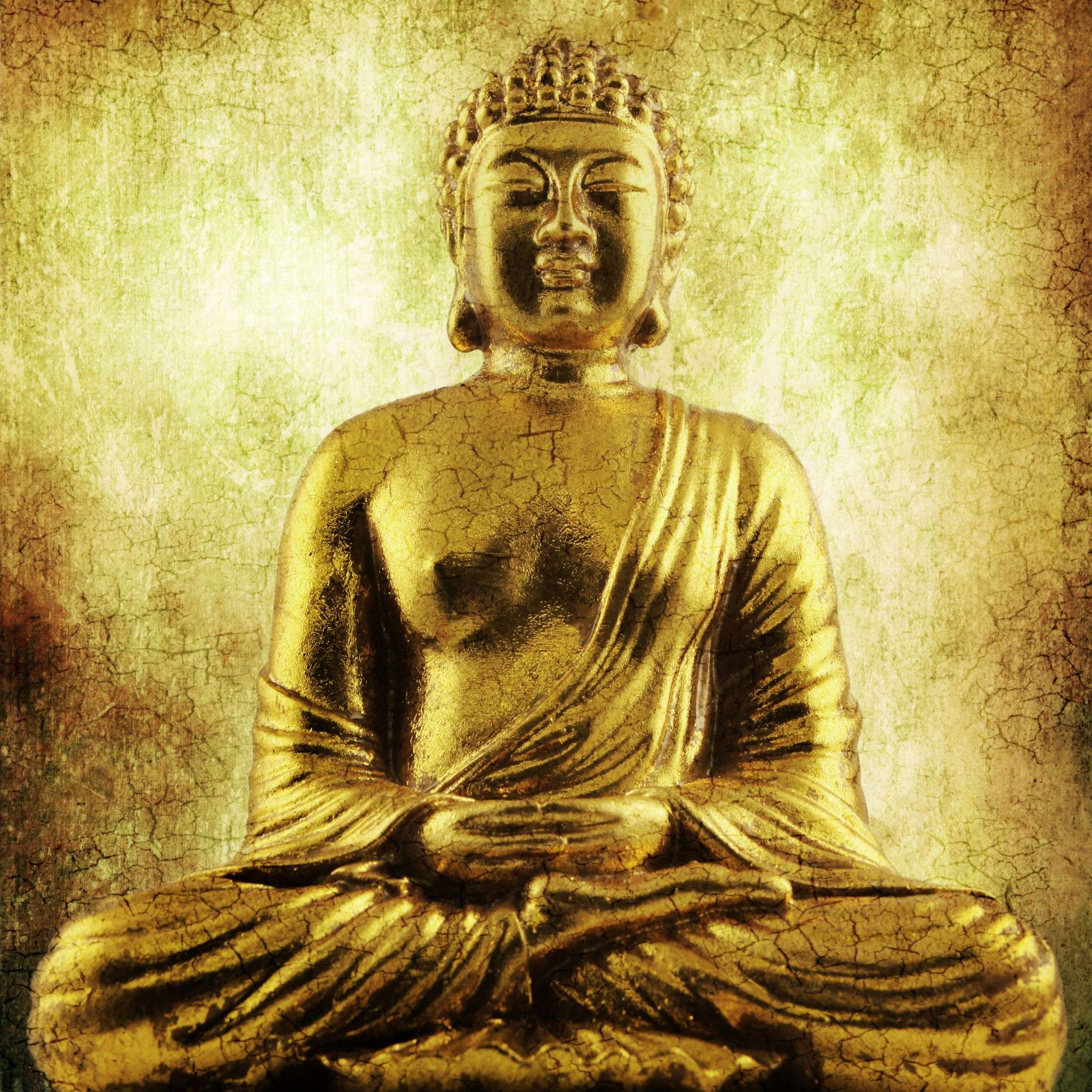 AFD Home  Golden Buddha - New Star Living